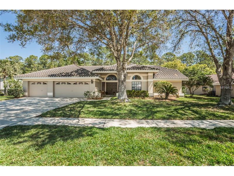 4049 WELLINGTON PARKWAY Palm Harbor  - The Gary & Nikki Team, Keller Williams Realty Tampa Bay Homes For Sale